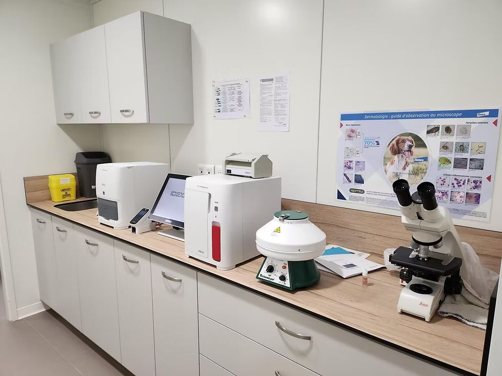 Laboratoire